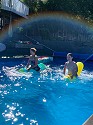 Inflatable Horse Race With a Rainbow